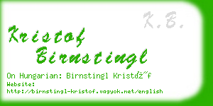 kristof birnstingl business card